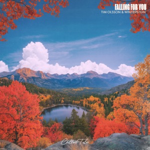 Falling For You - Single