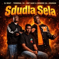 Sdudla Sela - Single - Dj Boat, Terminal ZA, OHP SAGE & Mondro sa & DouMan