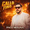 Gallo Fino