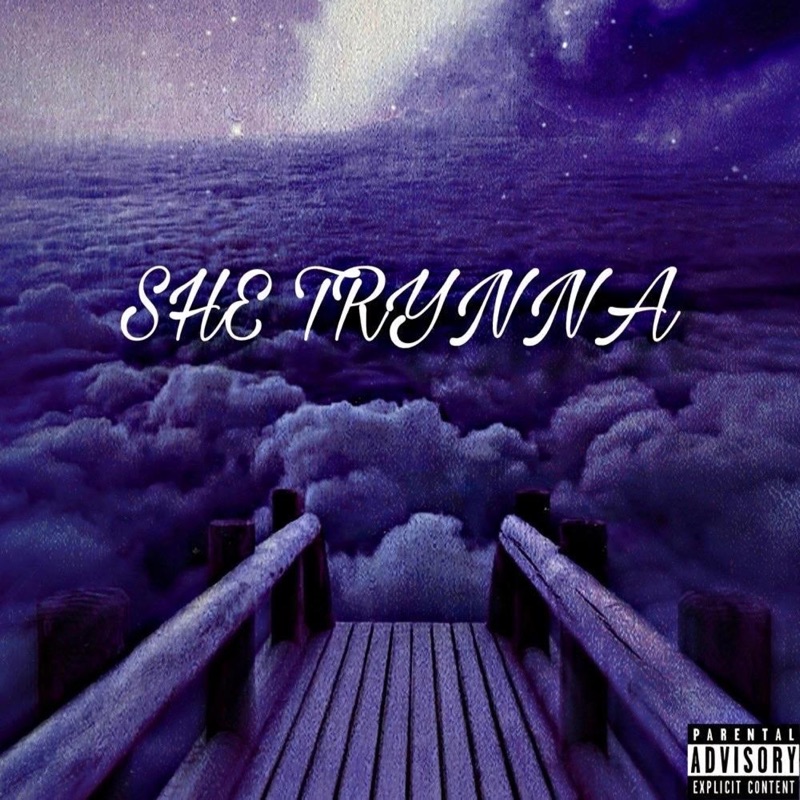 She Trynna (feat. Lil Maru & Jhayebk) - Single