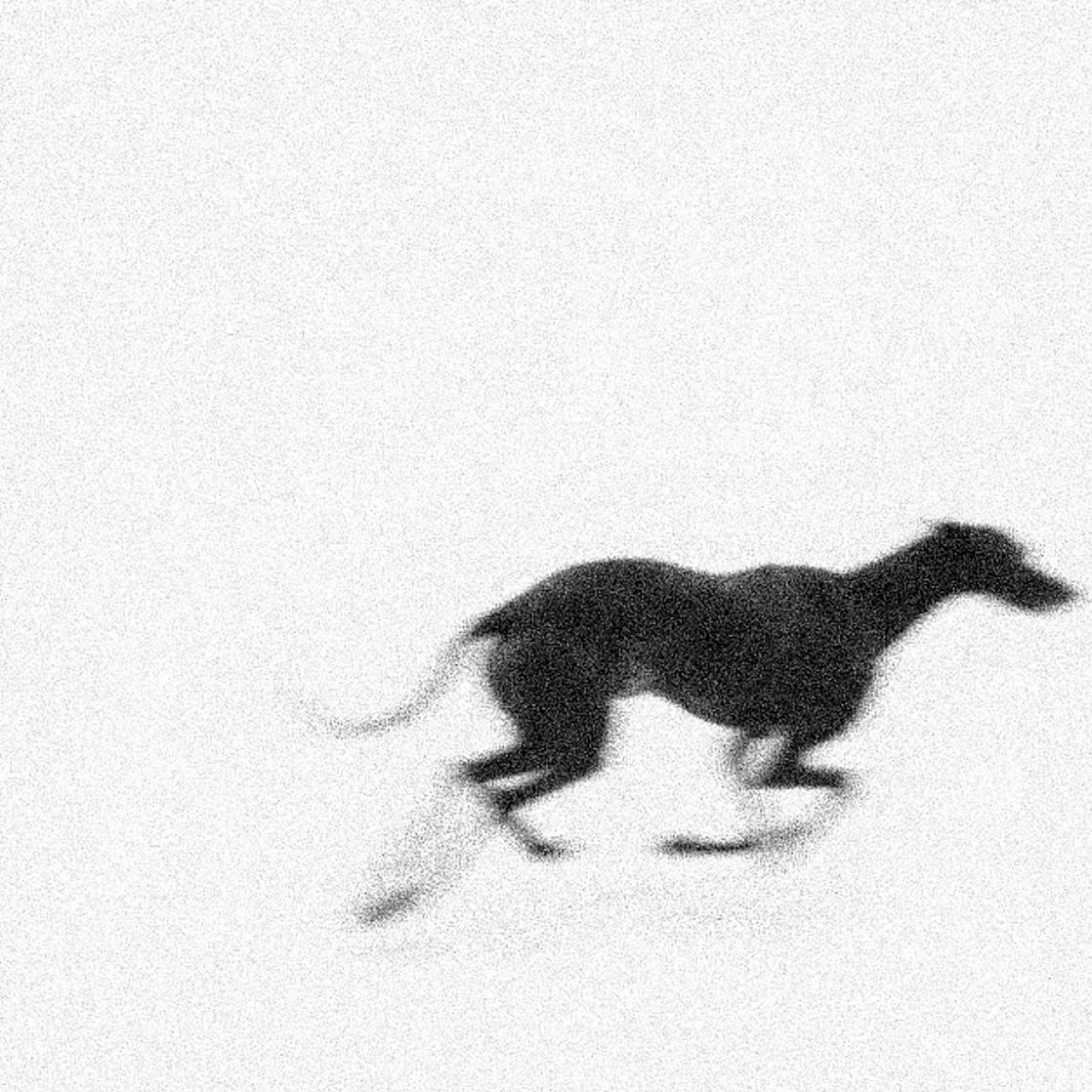 Down in the Dirt - Single