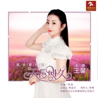 我会爱你到天长地久 - Single - 王馨
