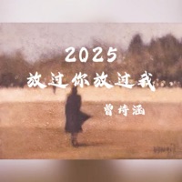 2025放过你放过我 (DJ版) - Single - 曾诗涵