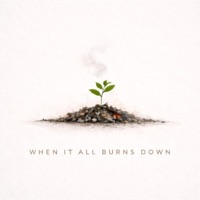 When It All Burns Down - Single - Colin Martin