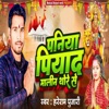 Paniya Piyad Malin Thore Se - Single