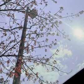 Close to Home (feat. riensu) Unreal