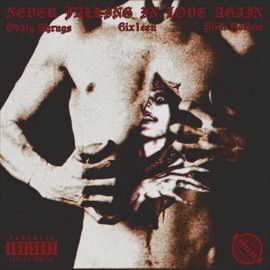 Never Falling in Love Again (feat. Oddly Shrugs & SLIM HØLLØW) 6ix1een AKA EVOLV