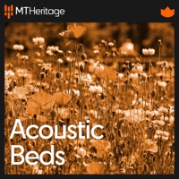 Original Soundtrack of Acoustic Beds - Media Tracks