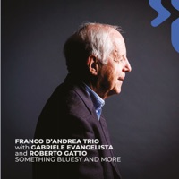 Something Bluesy and More [with Gabriele Evangelista & Roberto Gatto] - Franco D'Andrea Trio