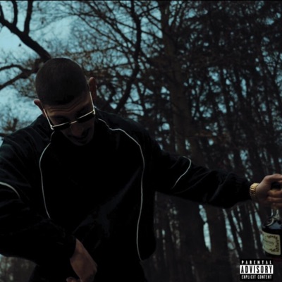 DEN EIXA TIPOTA (feat. Vazilstu) - Single