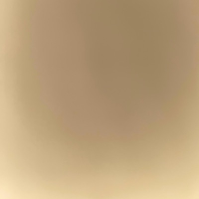 Mobile Home - Single