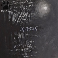 Light Of Us - PAWPAWTHEDAWG