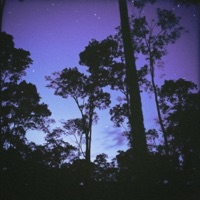 treefrogs - Single - mōro & after noon