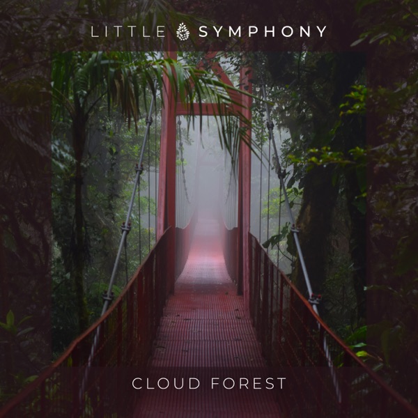 Cloud Forest