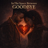 In the Space Between Goodbye - Single - StaJe