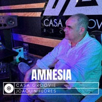 Amnesia - Single - Casa Groovie & Joaquin Flores