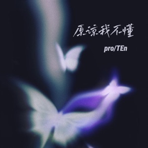 原谅我不懂 - Single