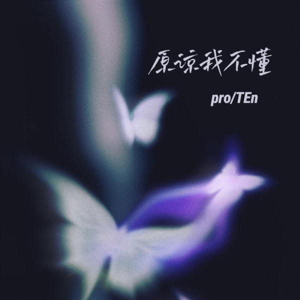 原谅我不懂 - Single