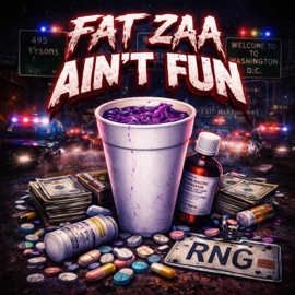 Aint It Fun FAT ZAA