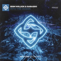 Into the Ocean - Single - EDIM WILLIOX & Gabasso