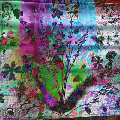 BDSM with .Wav files (feat. DJKillaC) - Single