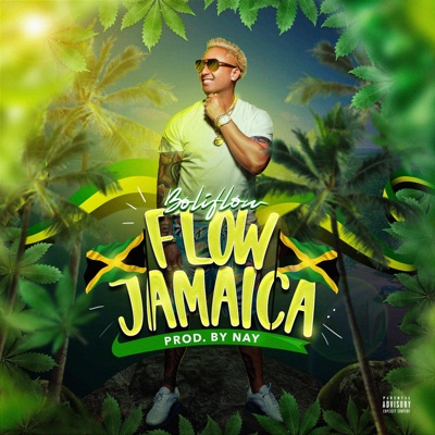 Flow Jamaica - Single