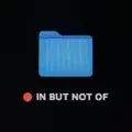 IN BUT NOT OF