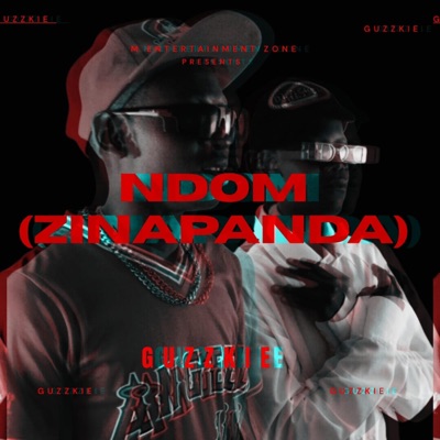 Ndom (Zinapanda) (feat. Guzzkie) - Single