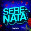 SERENATA (Funk) - Single