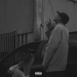 Defeito Manada Cassol