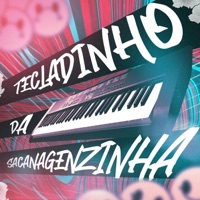 Tecladinho da Sacanagenzinha (feat. MC VC & DABLIO MC) - Single - Guiba 011, Dj Lmb, Dj Leo na Produção & LETAL SUPPLY