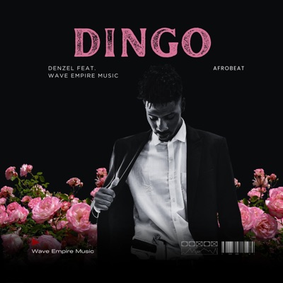 Dingo (feat. Denzel, Black Power official & Wave Empire Music) - Single