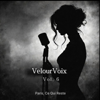 VelourVoix - Paris, Ce Qui Reste artwork