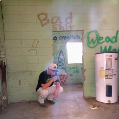 DRUG-INDUCED AMNESIA