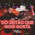 Wender e Falcão