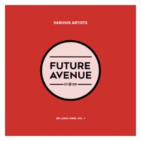 Sri Lanka Vibes, Vol. 1 - SLIDER, Deepcore & xWILDER