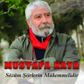 Sözüm Şiirlerin Mükemmelidir song art