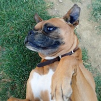 Paty Libre - Single - Alien Suicide