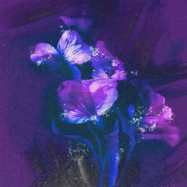 starry eyes - Single