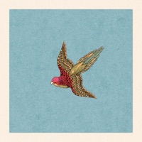 Sugar Glide - Single - Chinless Wonder