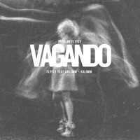 Vagando (feat. IIBLEMM & kaliMM) - Single - FlyFly