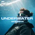 UNDERWATER