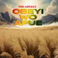 obeyi wo apue