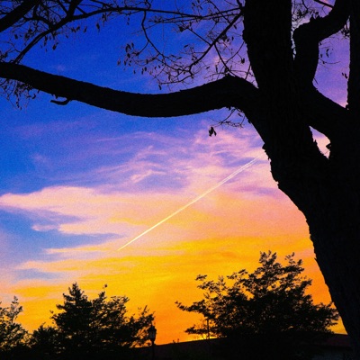 INTERDIMENSIONAL - Single