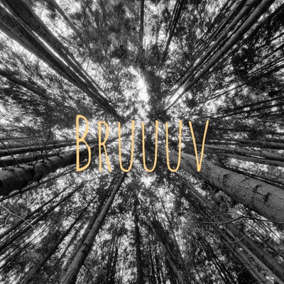 Bruuuv - Single
