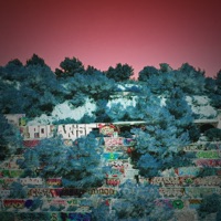 Blimmablim - Single - Polarise