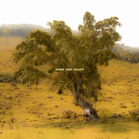 Nada Tem Valor - Single - Meucci