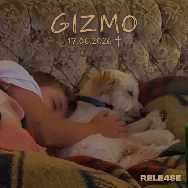 Gizmo