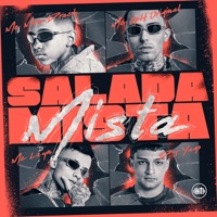 Salada Mista (feat. Mc Lzyn & MC GH Original) - Single - MC Menor Drack