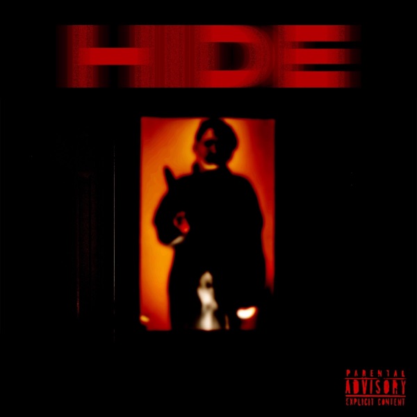 Hide